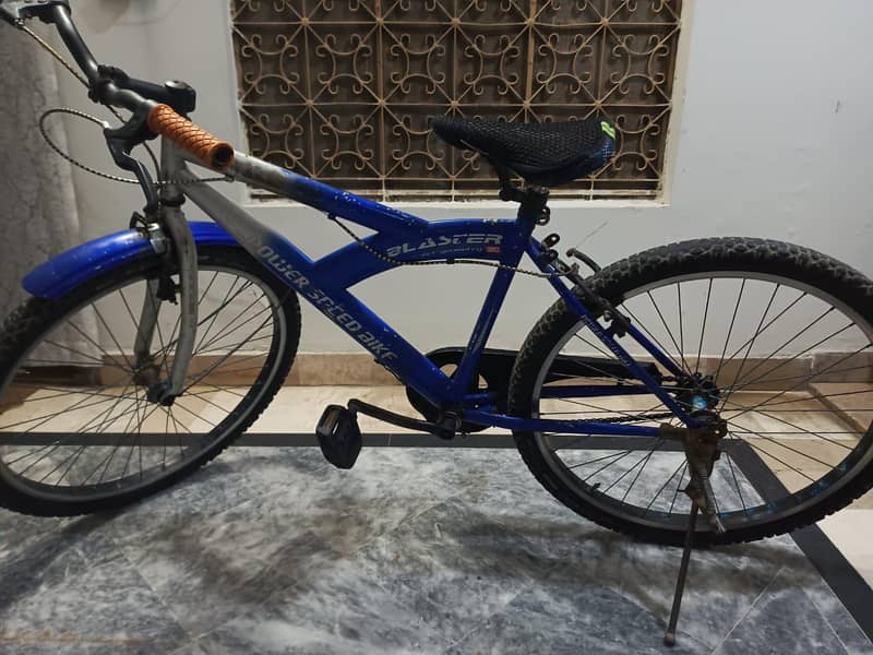 Bicycle 1