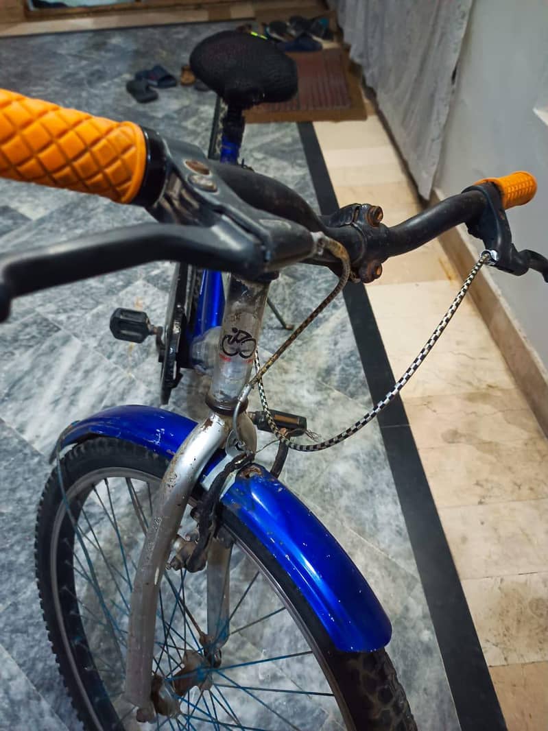 Bicycle 4