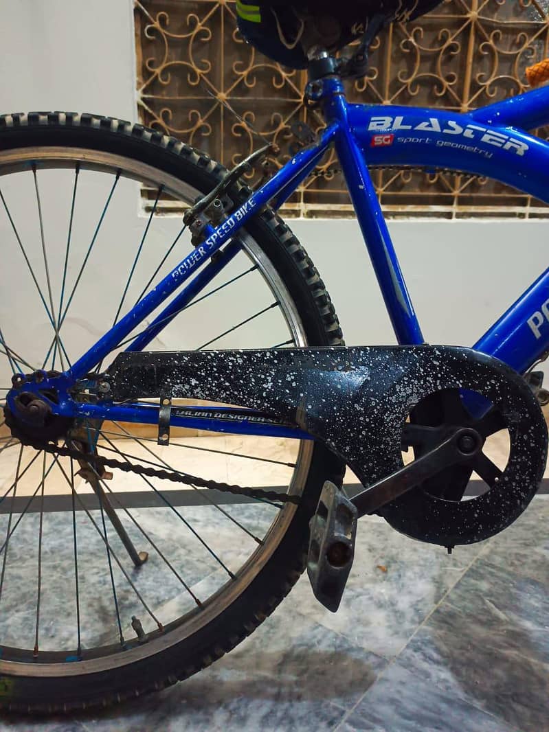 Bicycle 5