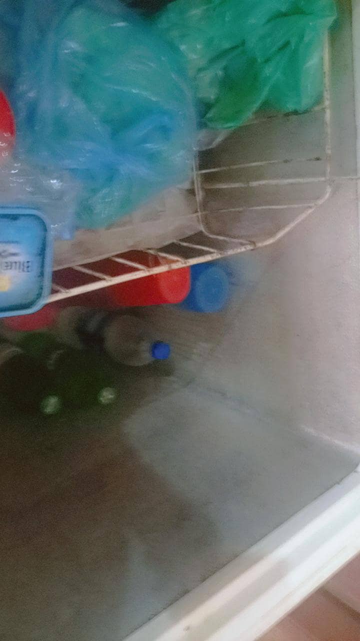 D freezers 1