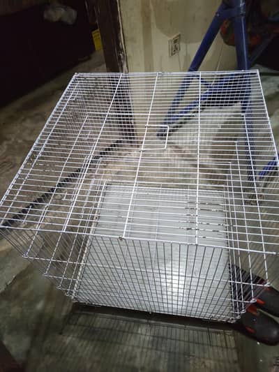 birds raw parrots cage heavy duty