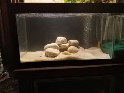 for sale said table aquarium