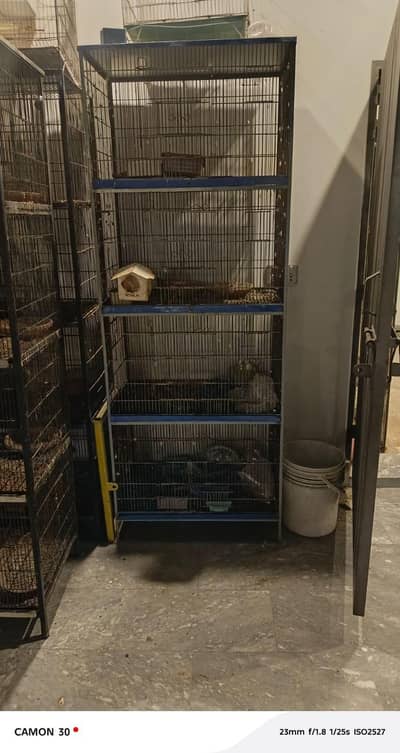 pigeon cages