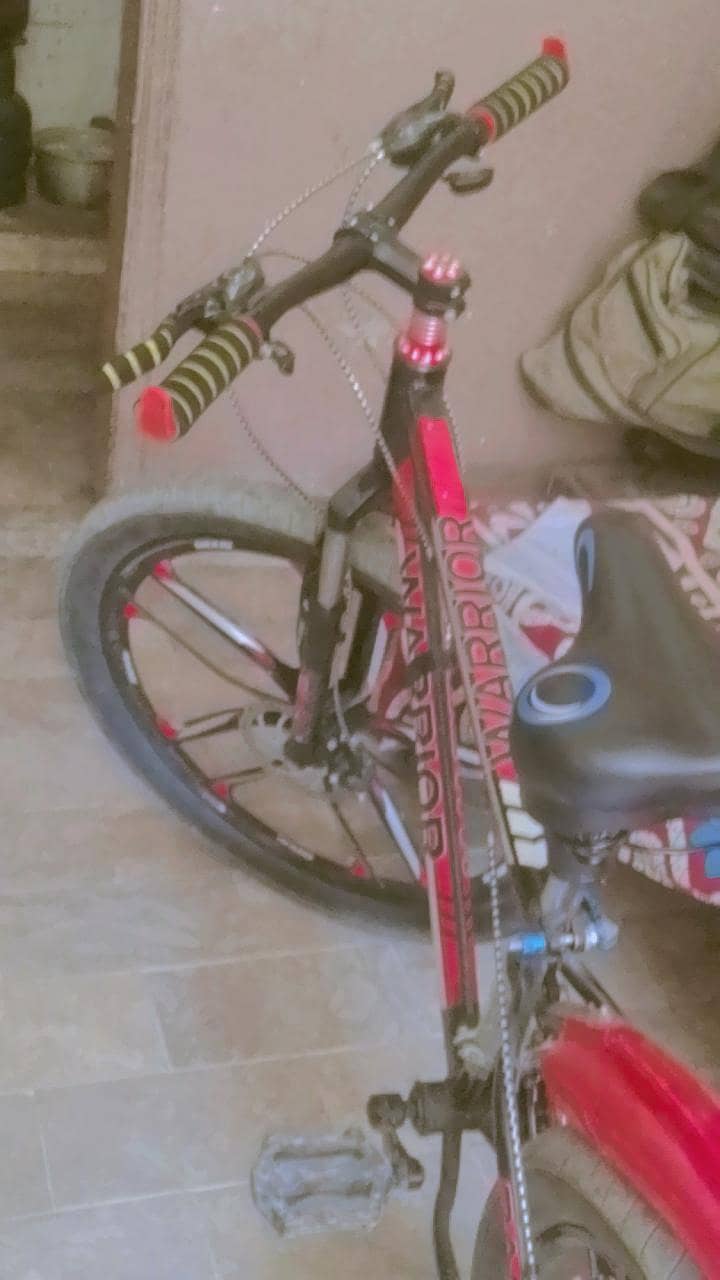spoty cycle 1