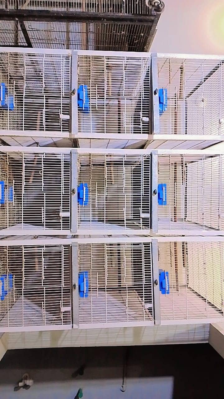 cages 1