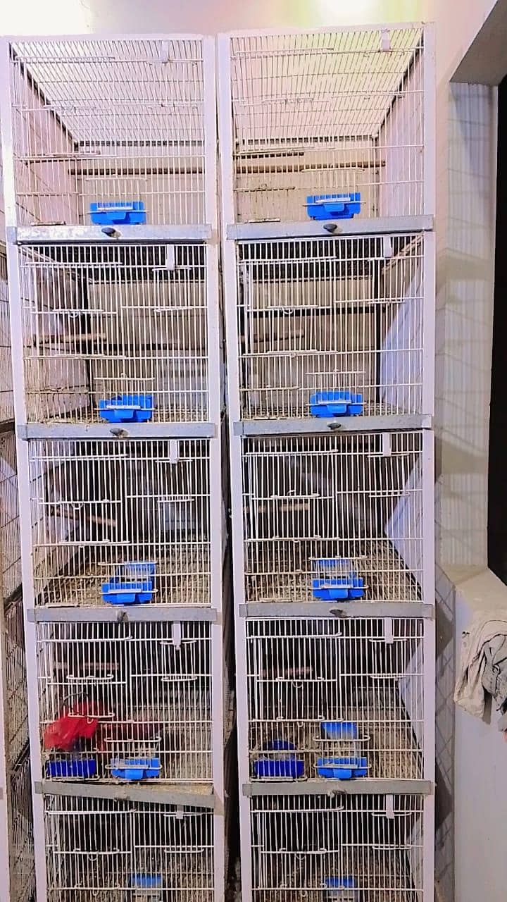 cages 2