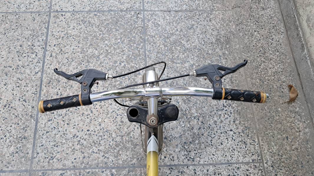 Bycycle 3