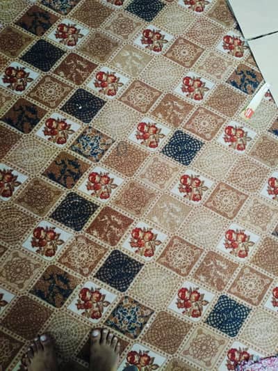 12 x 13 Used Carpet in Clean and Good Condition for Sale