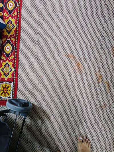 12 x 14 Used Carpet for Sale in Good Condition