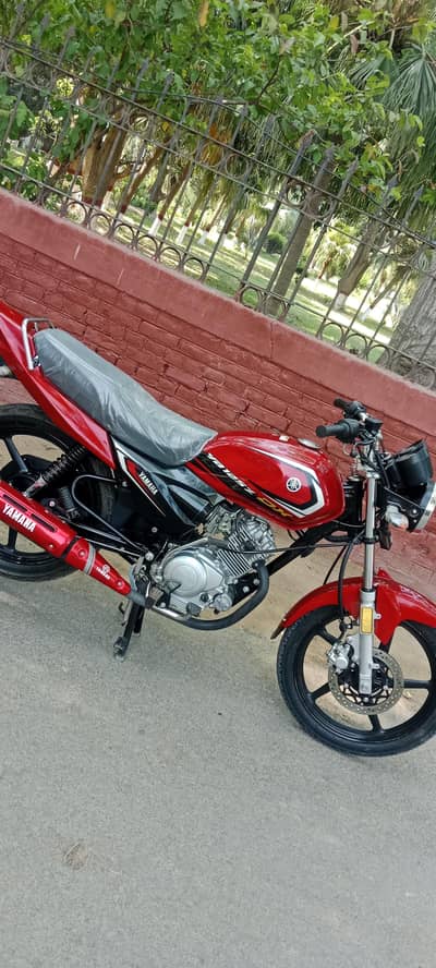Yamaha yb 125 Z DX 2025 model