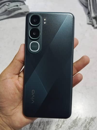 y21d vivo
