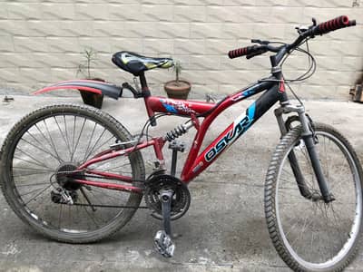 Imported Bicycle