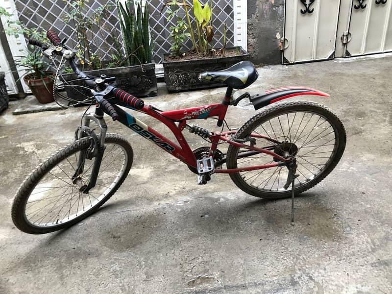 Imported Bicycle 1