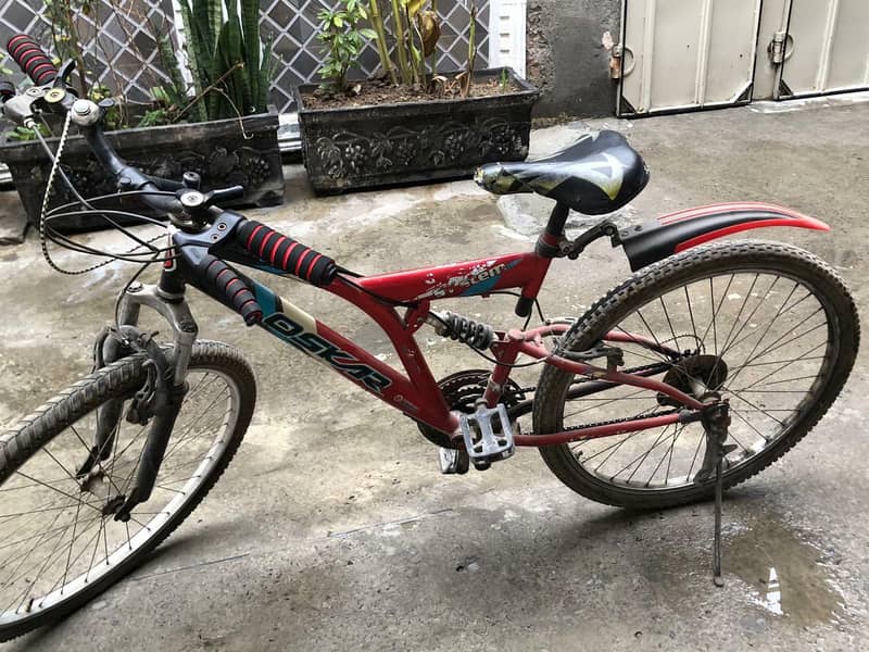 Imported Bicycle 2