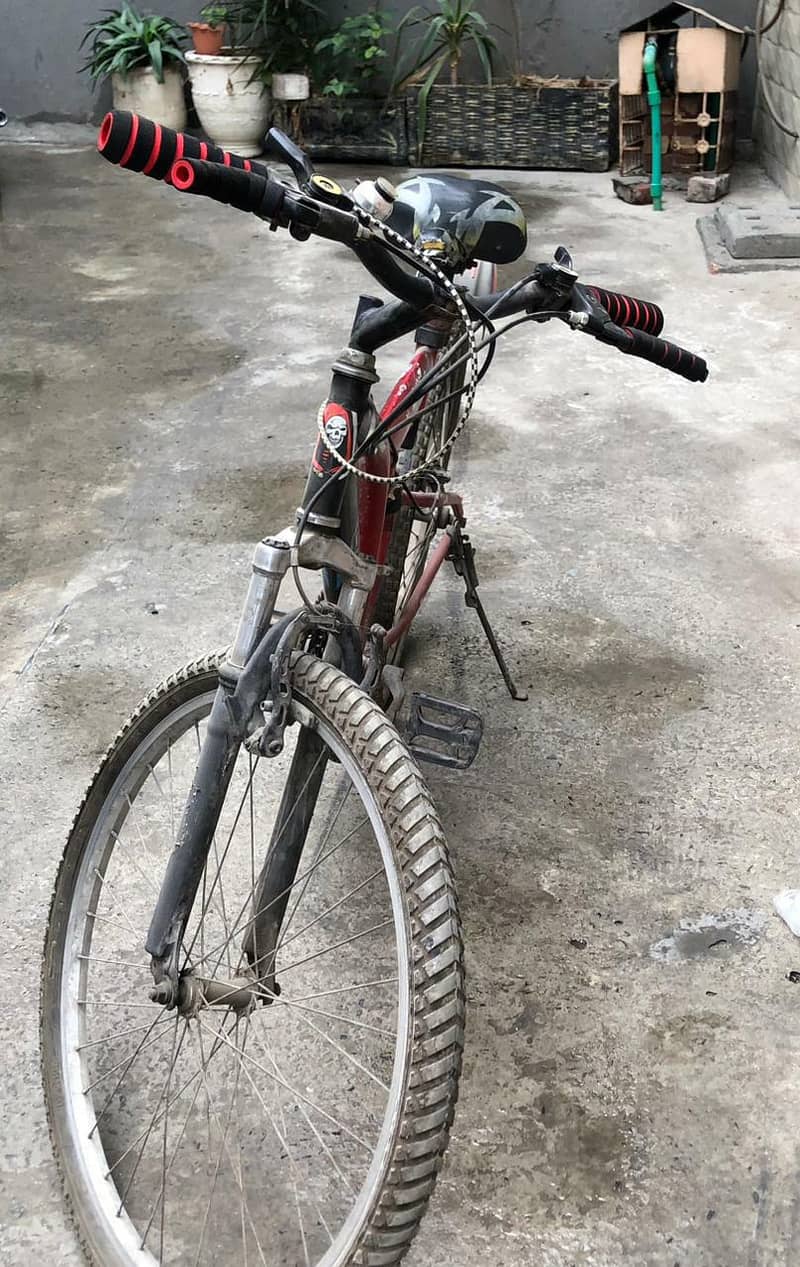 Imported Bicycle 3