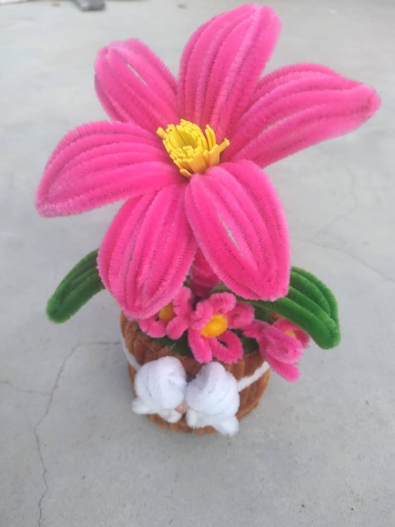 flowers 5