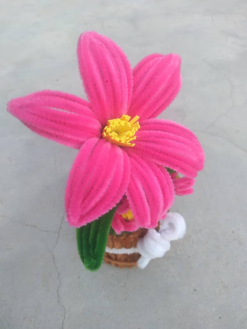 flowers 6
