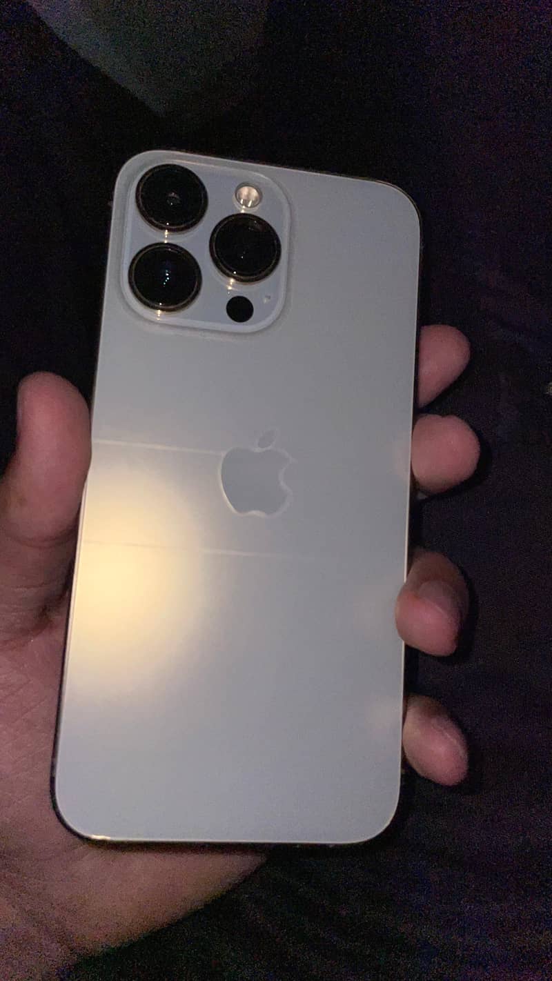 iPhone 13 Pro 1
