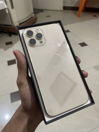 Apple iPhone 12 Pro Max
