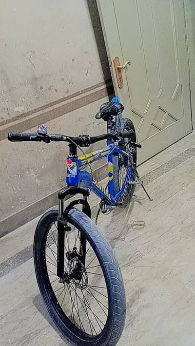 mauntain bike
