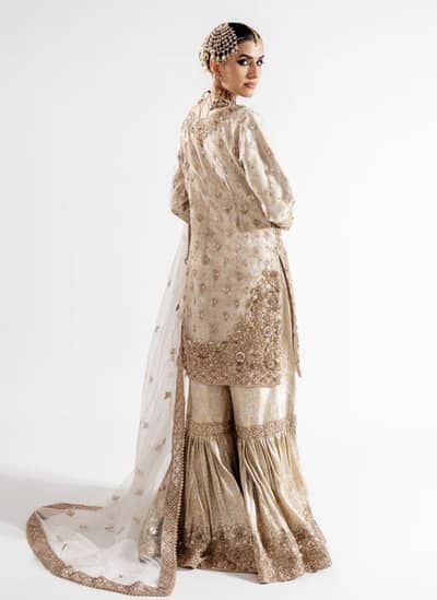 Haseens dress