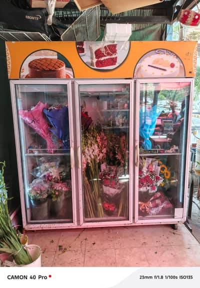 veroline 3 door chilr for sale