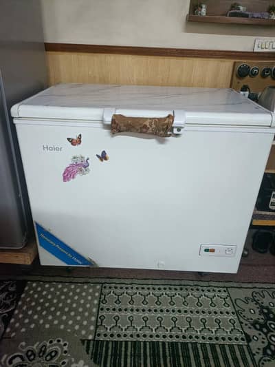 HAIER (Chest Freezer)