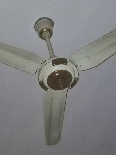 Ceiling Fan 48"