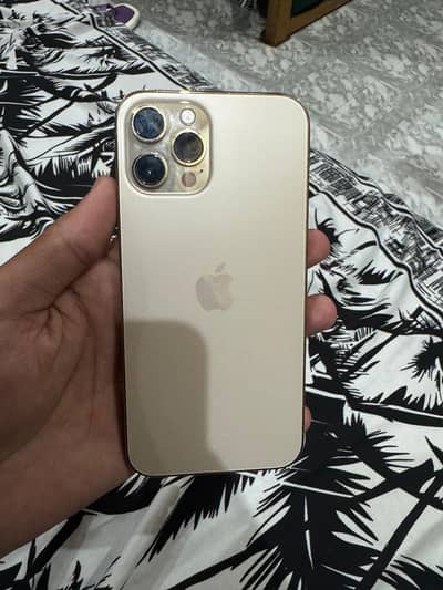 iphone 12 pro max pta approved