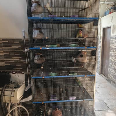 for sale