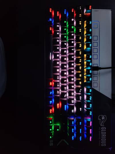 Mechanical Gaming Keyboard Glorious GMMK TKL + Items