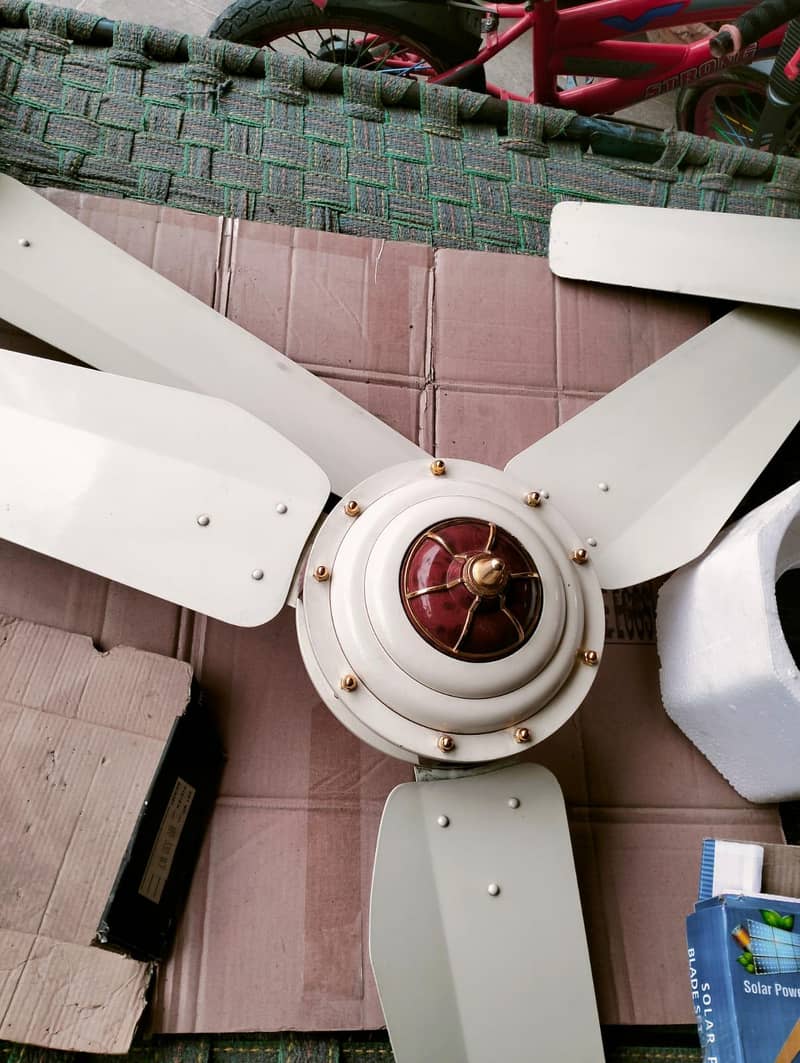 Ceiling Fan 1