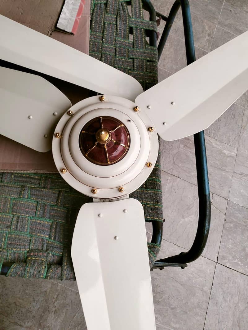 Ceiling Fan 2