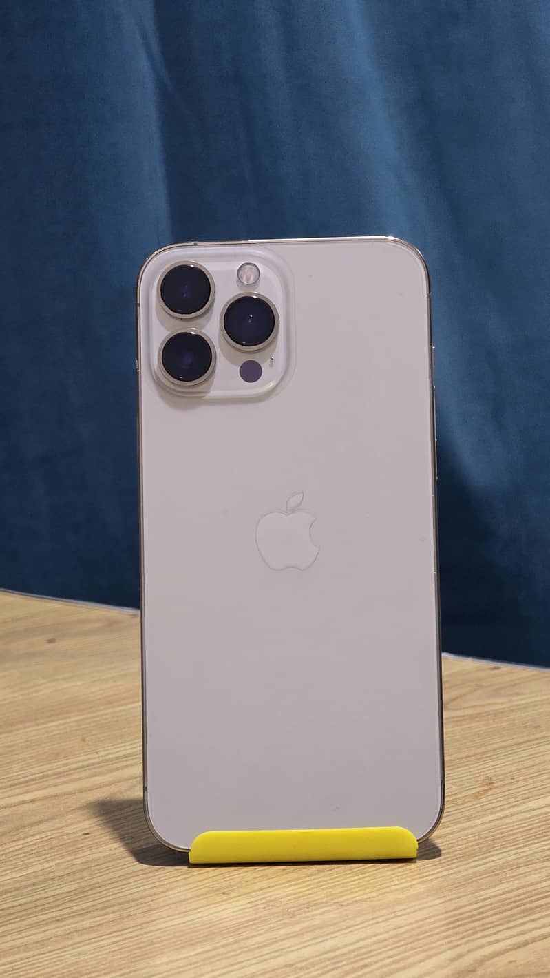 iPhone 13 Pro Max 1