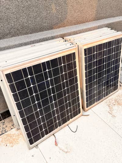50 Watt Solar Panel For Sale - 12 pieces - Single is also available