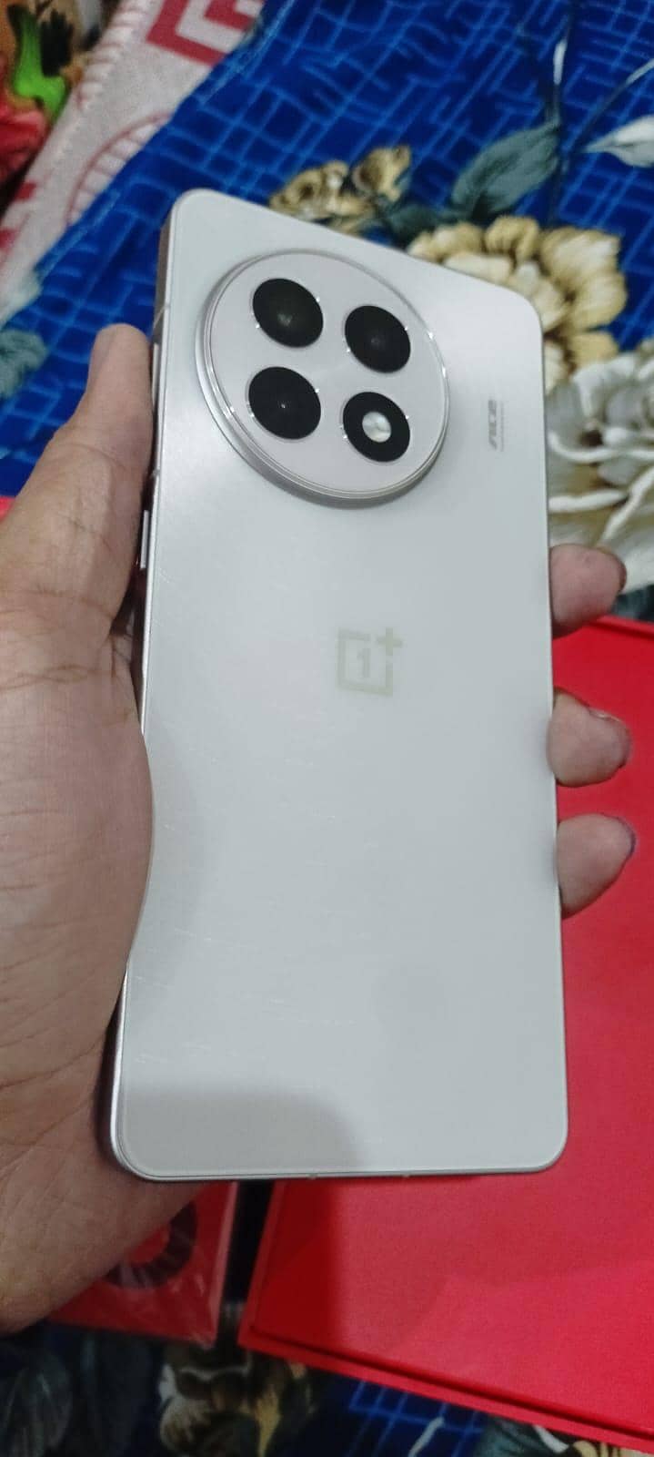 one plus ace 5 1
