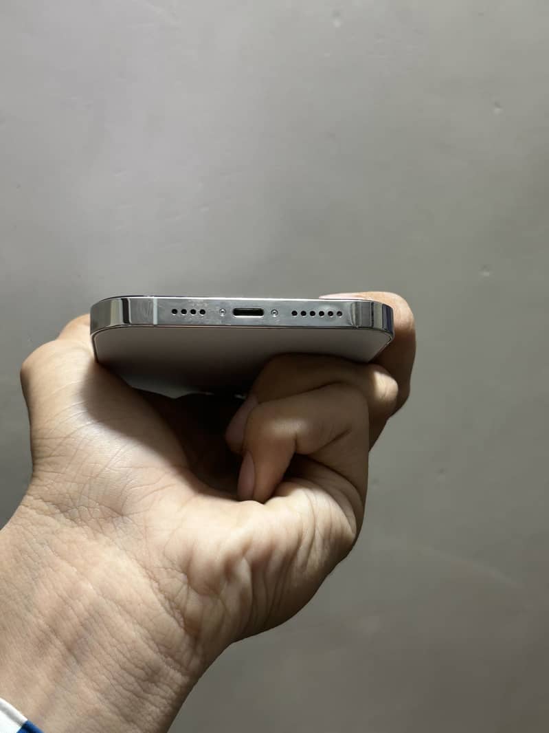 Iphone 13 pro max 1