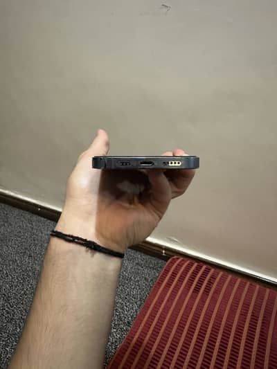 Iphone 13 pro dual pta approved