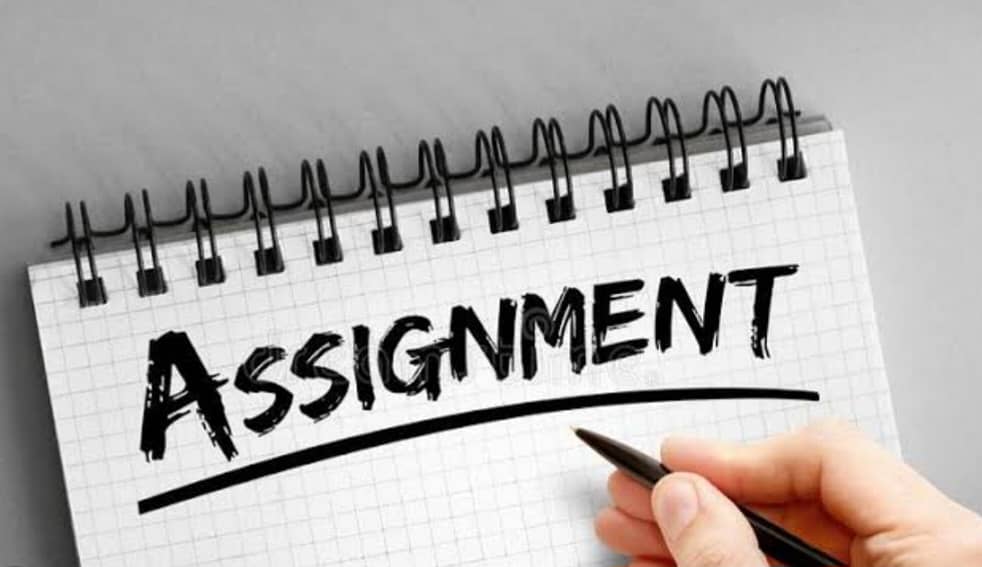 Assignment writing 1