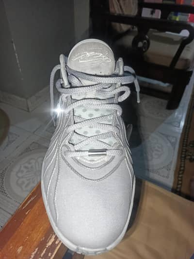 LABRON  21 "Serenity"