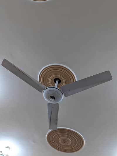 GFC Ceiling Fan Heavy Duty Energy Saver Fan
