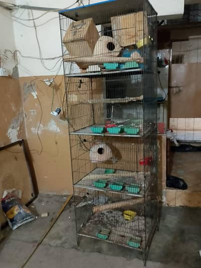 cages 4 step