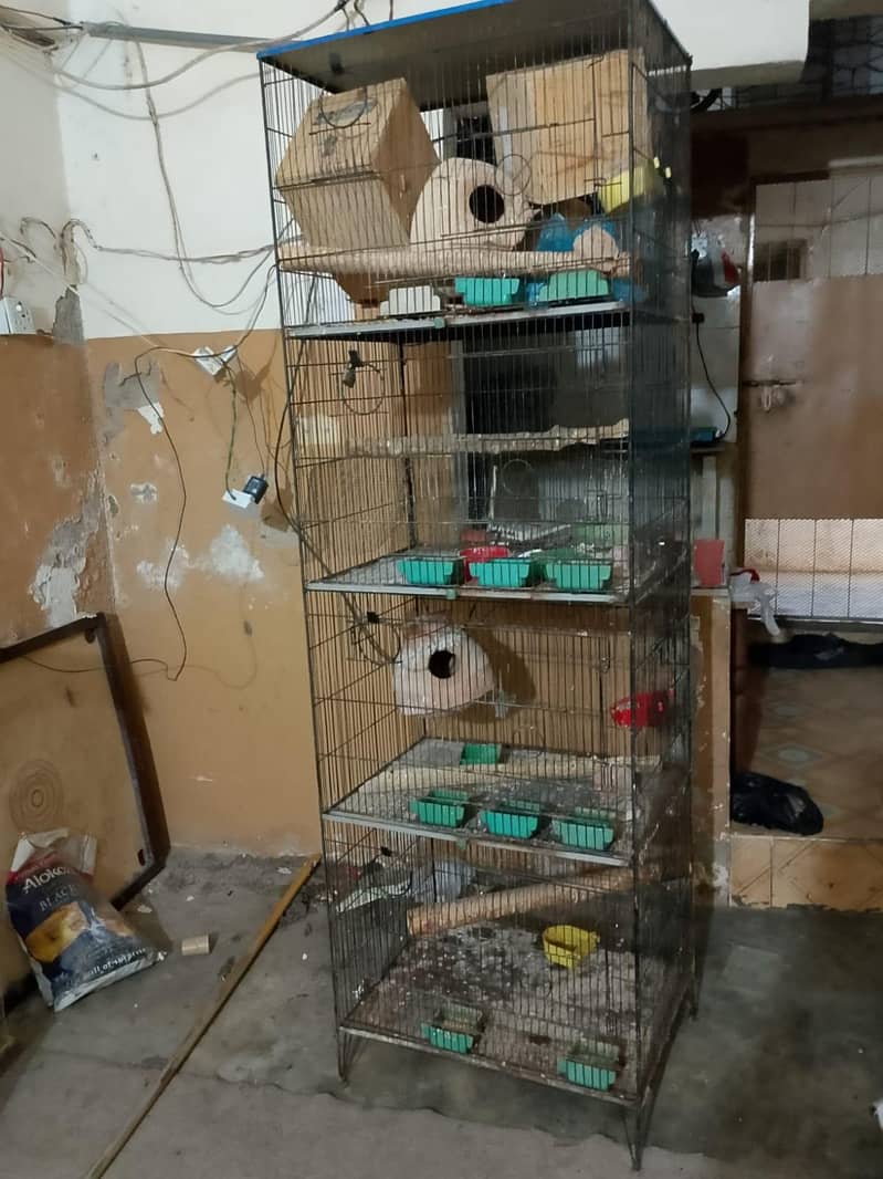 cages 4 step 0