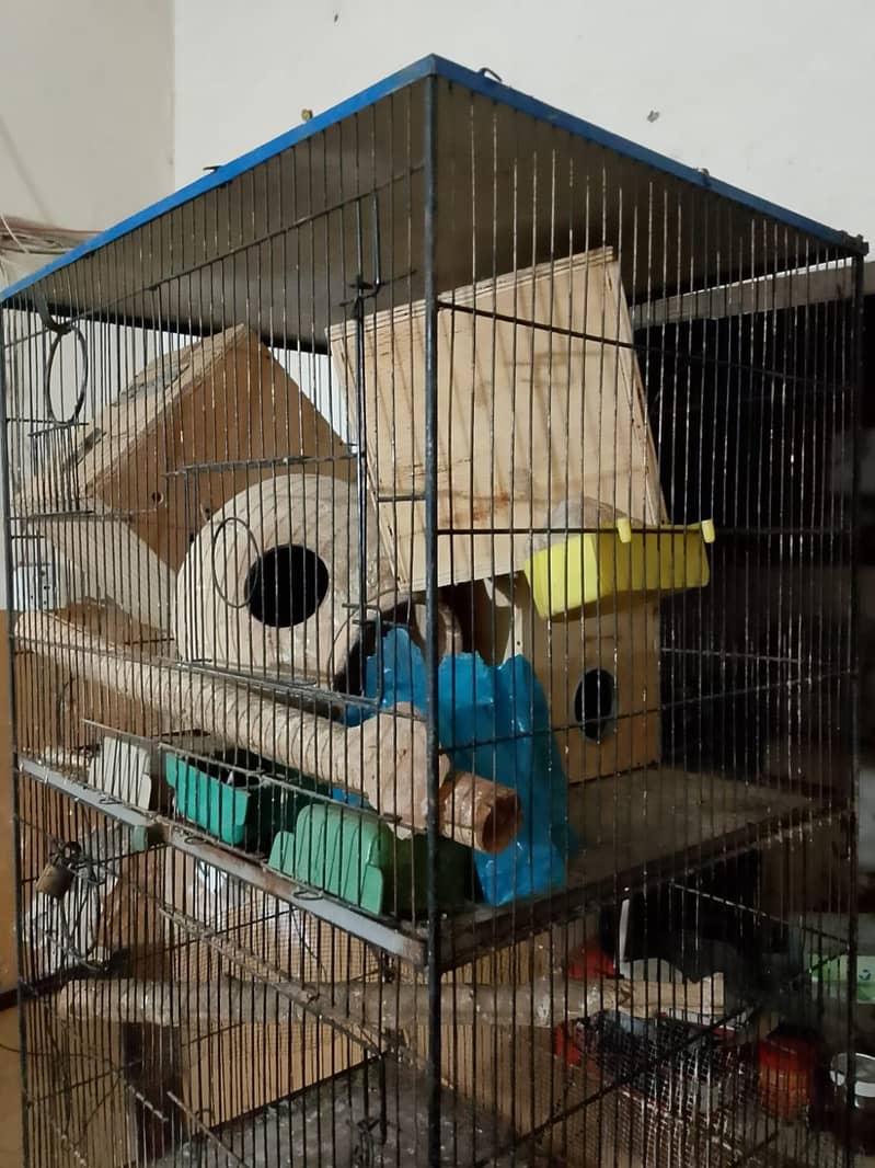 cages 4 step 1