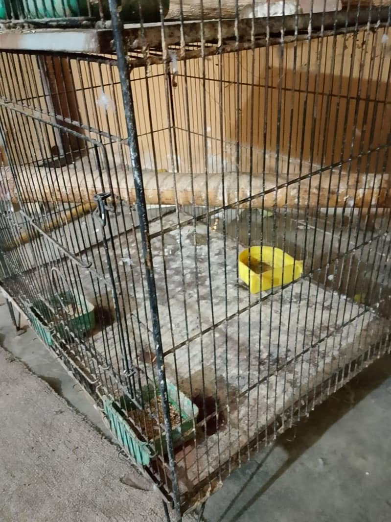 cages 4 step 2