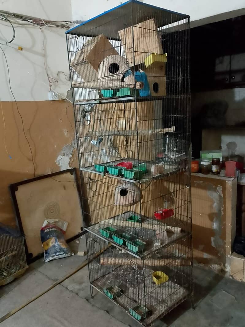 cages 4 step 3