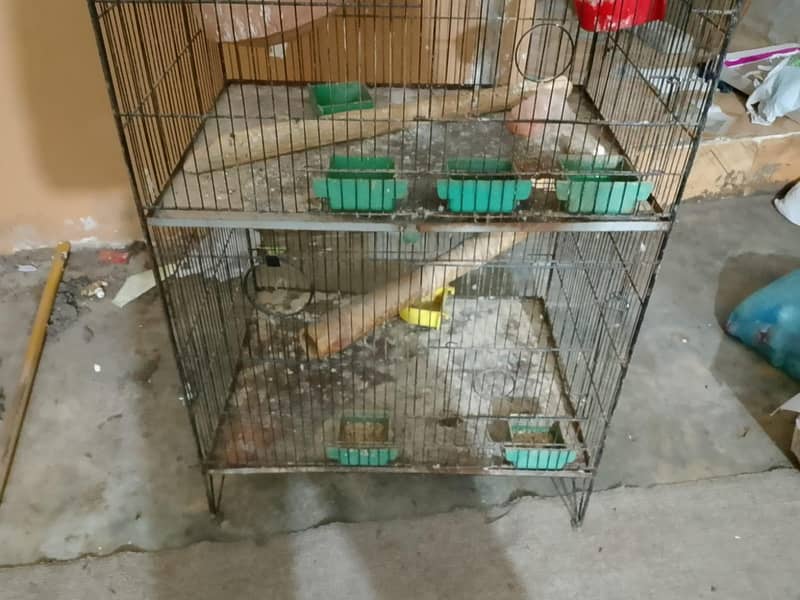 cages 4 step 4