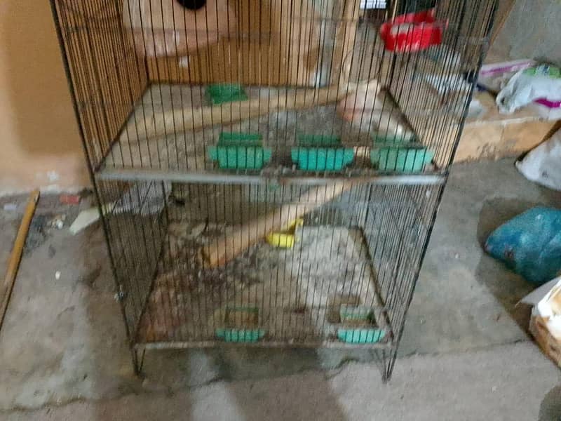 cages 4 step 6