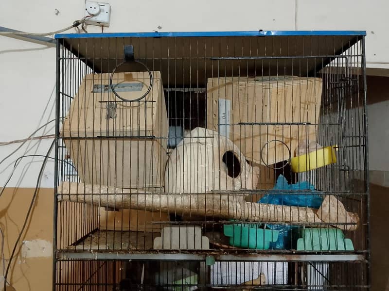 cages 4 step 7