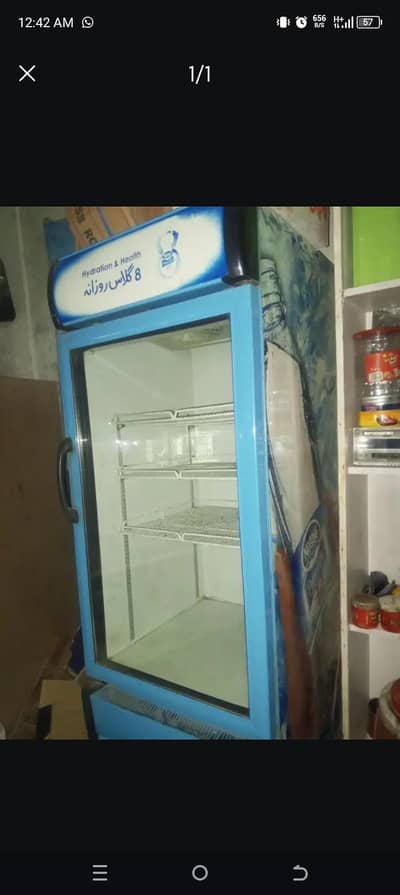 nestly company fridge